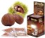 1614074538299 MARRON GLACESciok