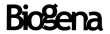 Odkaz 2