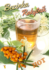 vyr 575 Rakytnik bezinkaHot