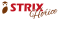 Strix Hořice s.r.o.